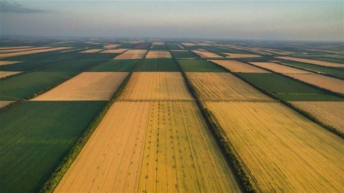 Як продати земельний пай